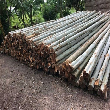 เสาเข็มยูคา นนทบุรี