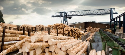 จำหน่ายไม้ก่อสร้าง