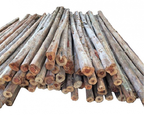 ไม้ก่อสร้าง นนทบุรี